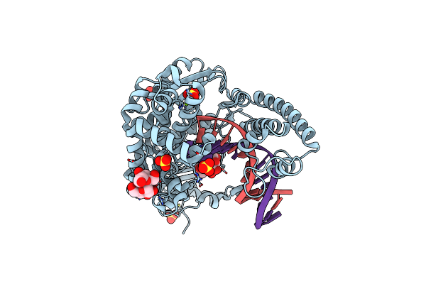 2HHT image