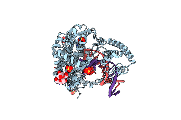 2HHV image