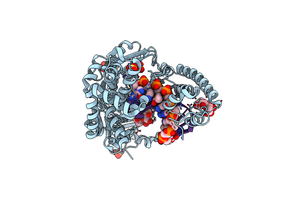2HHX image