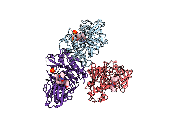 2HIZ image