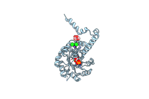 2HJP image