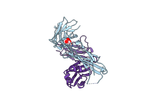2HKH image