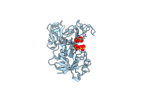 2HKI image