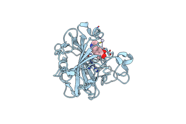 2HKK image