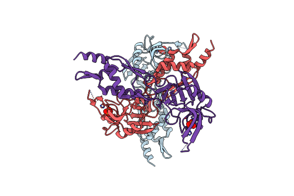 2HKL image