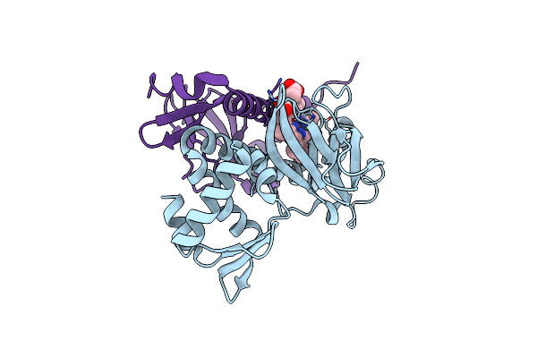 2HKX image