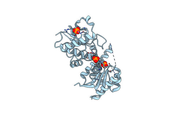 2HLH image