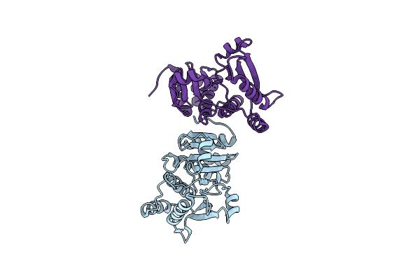 2HLS image