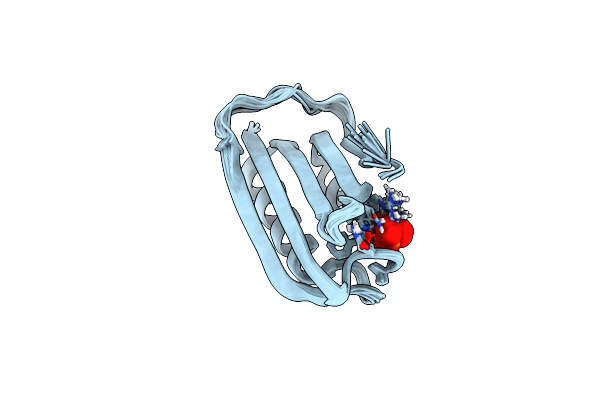 2HLT image