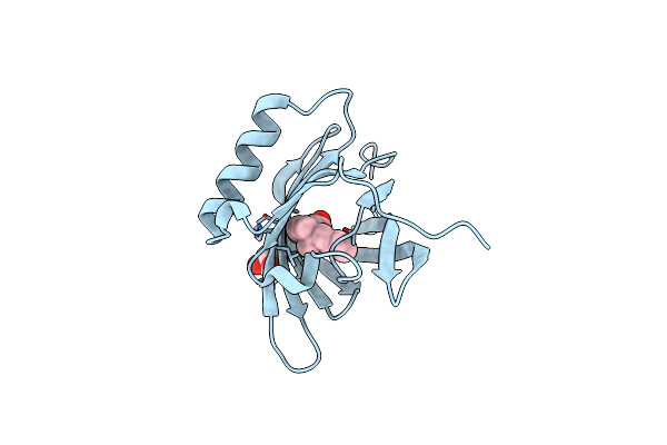 2HLV image