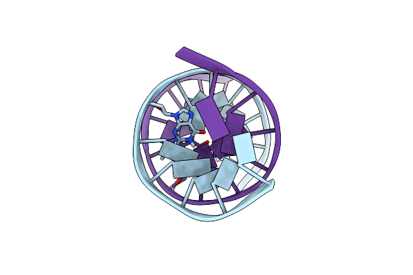 2HMD image
