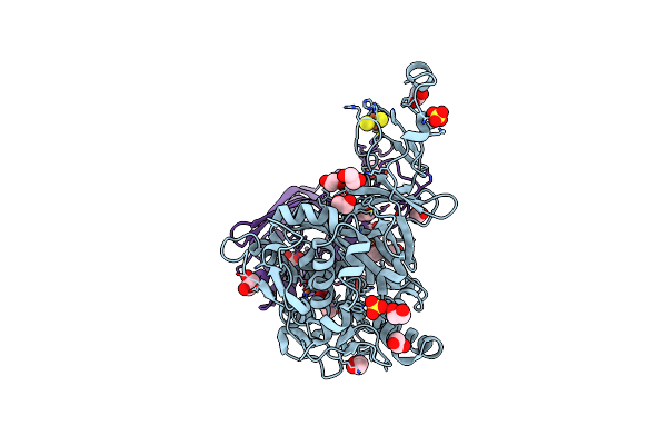 2HMO image