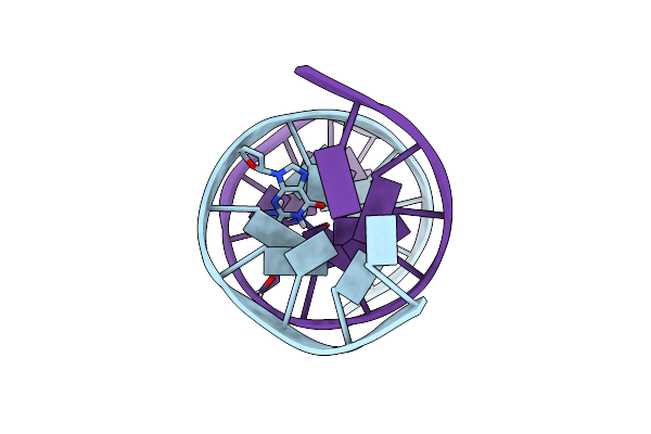 2HMR image