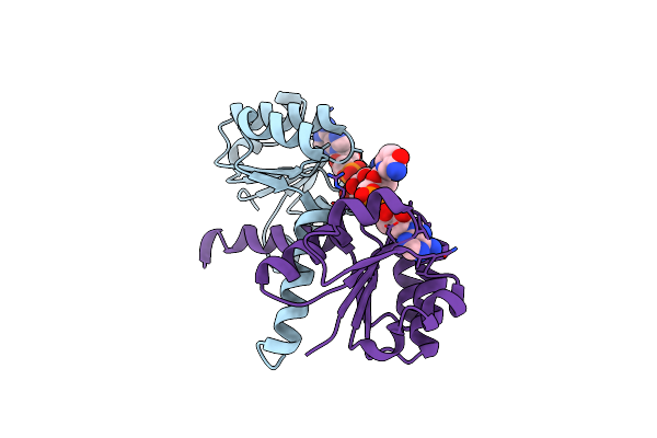 2HMT image