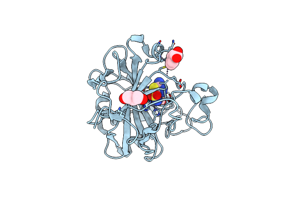 2HNC image
