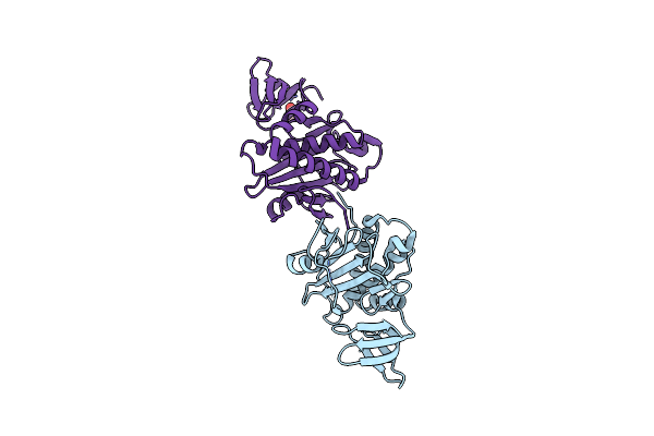 2HNI image