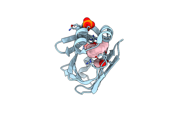 2HNX image