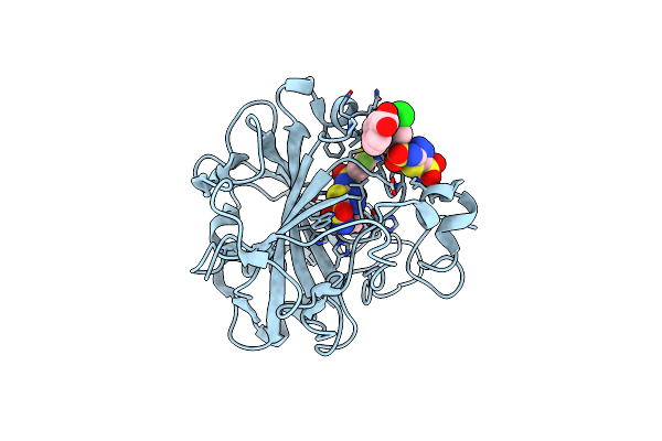 2HOC image