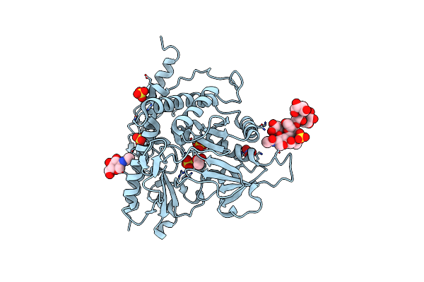 2HOR image