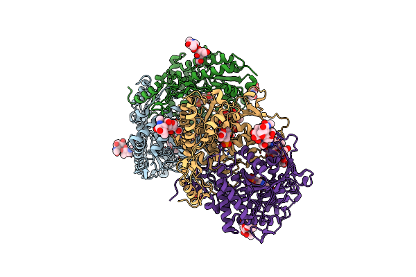 2HOX image