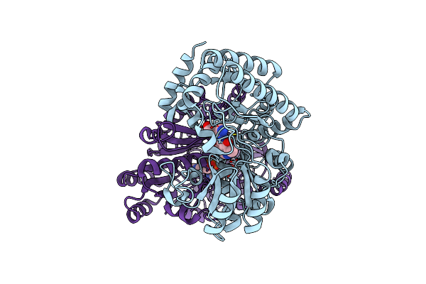 2HP2 image