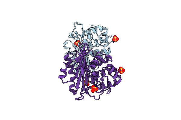 2HP6 image
