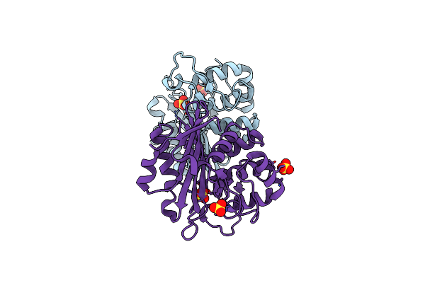 2HPB image