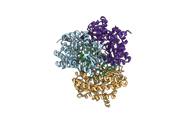 2HPG image