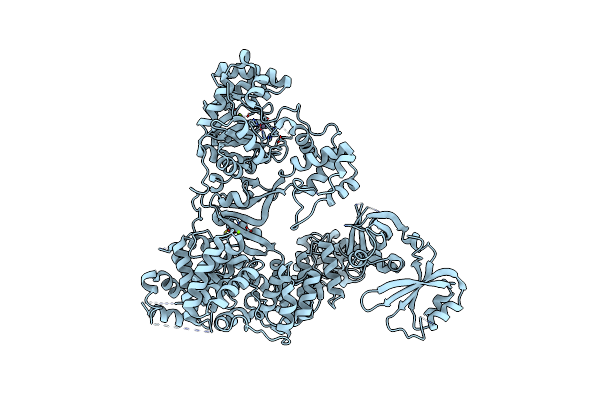 2HPI image