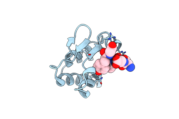 2HPL image