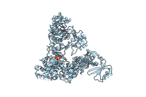 2HPM image