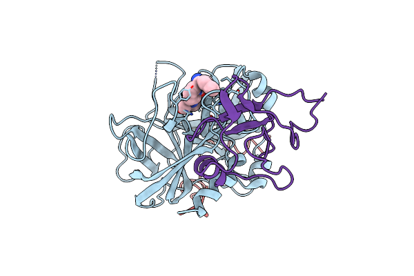 2HPP image