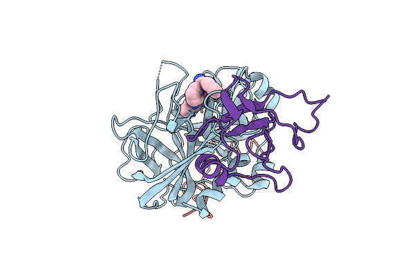 2HPQ image