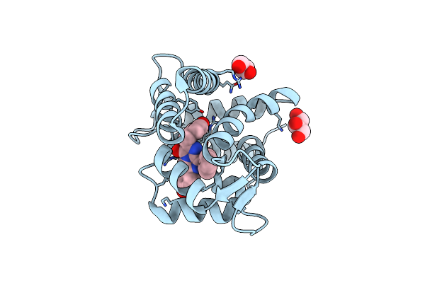 2HPS image
