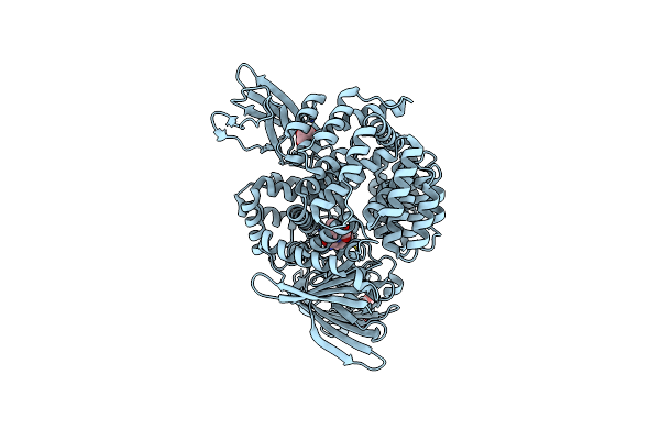2HPT image