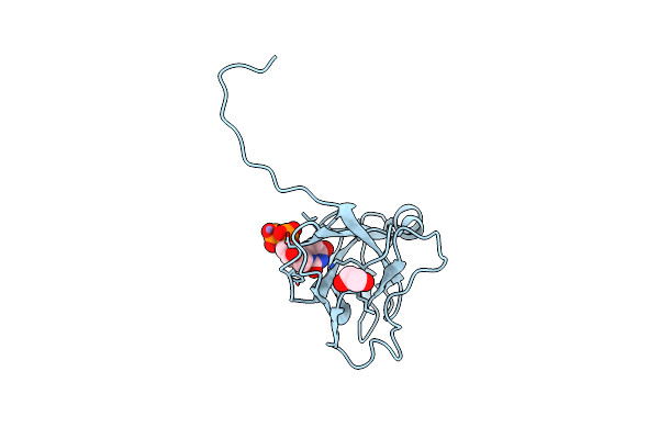 2HR6 image