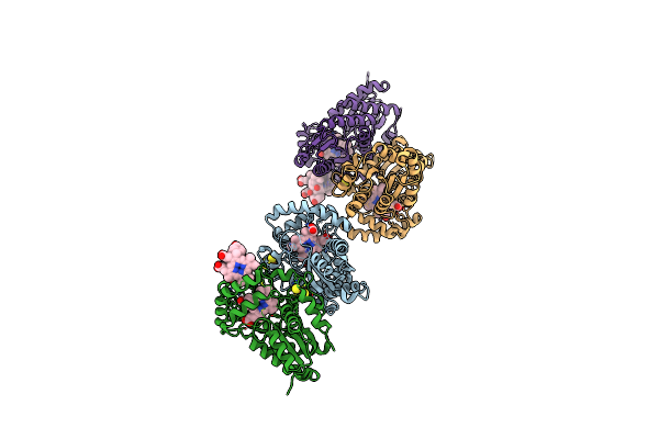 2HRE image