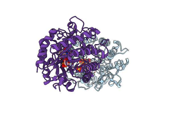 2HSA image