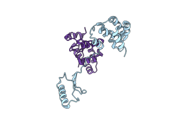 2HSN image