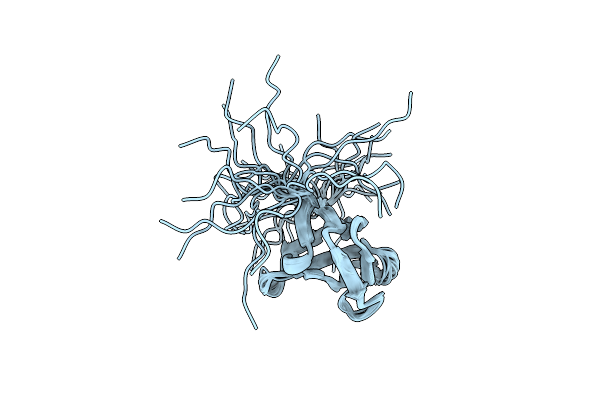 2HSP image