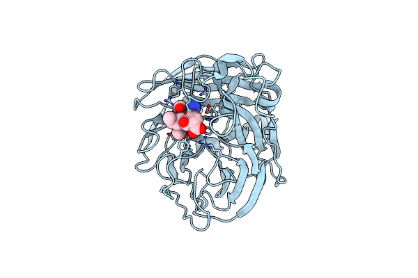 2HTU image