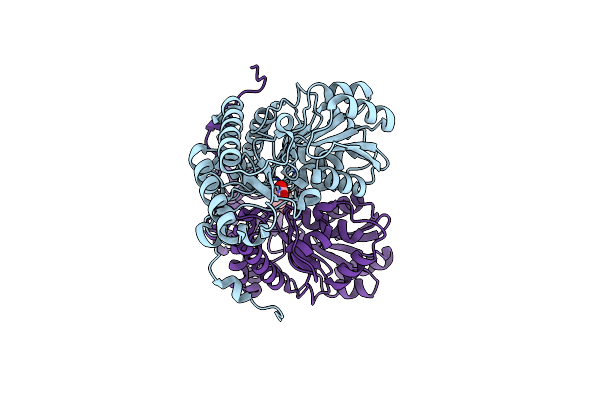 2HUU image
