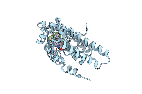2HVC image