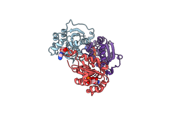 2HVD image