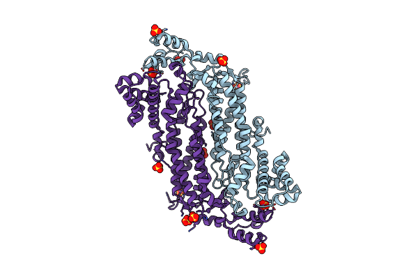 2HVG image