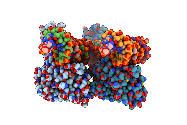 2HVS image