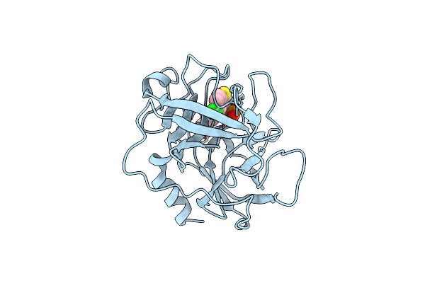 2HVX image