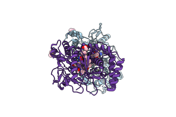 2HX2 image