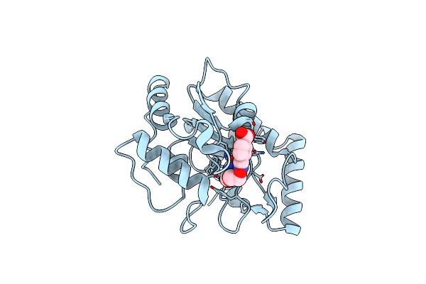 2HXM image