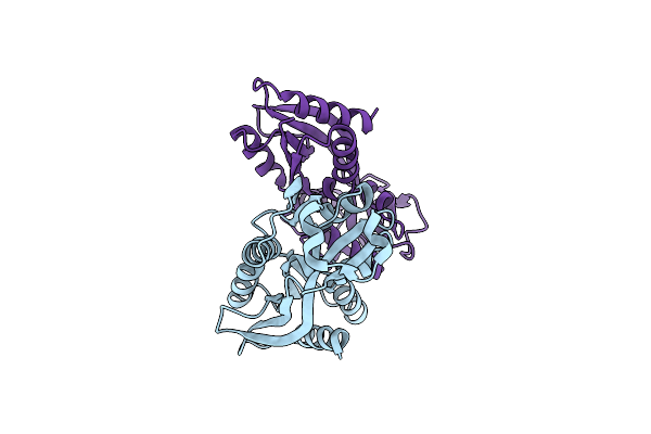 2HXR image
